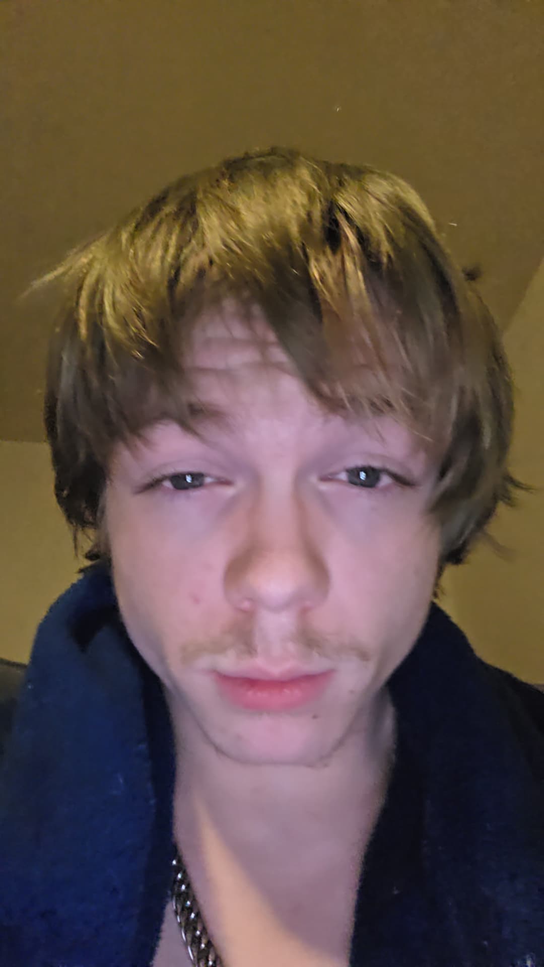 Bastian