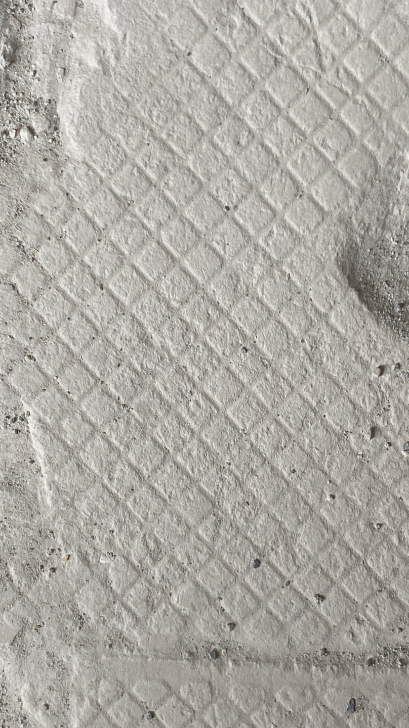 Koik