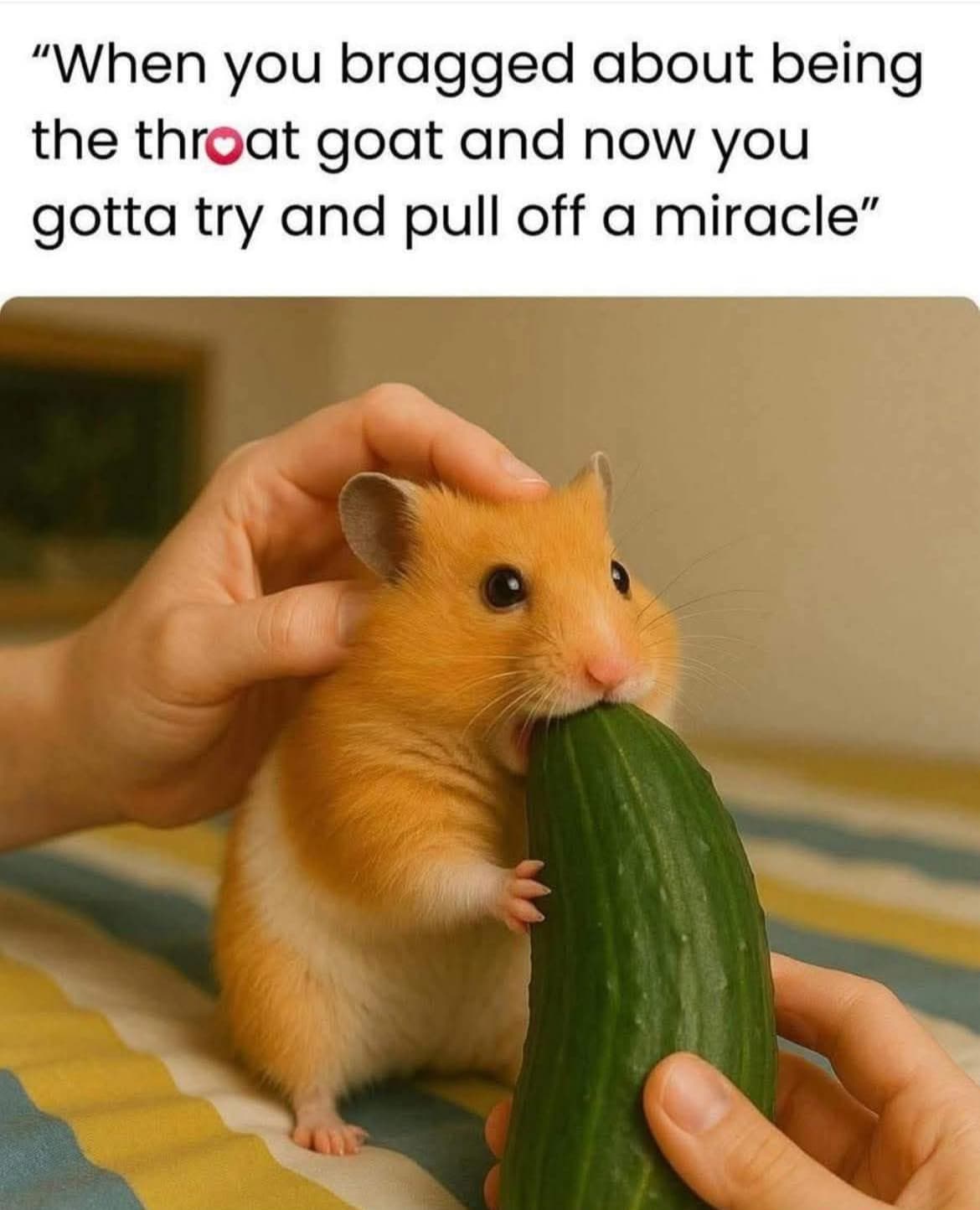 Jamie