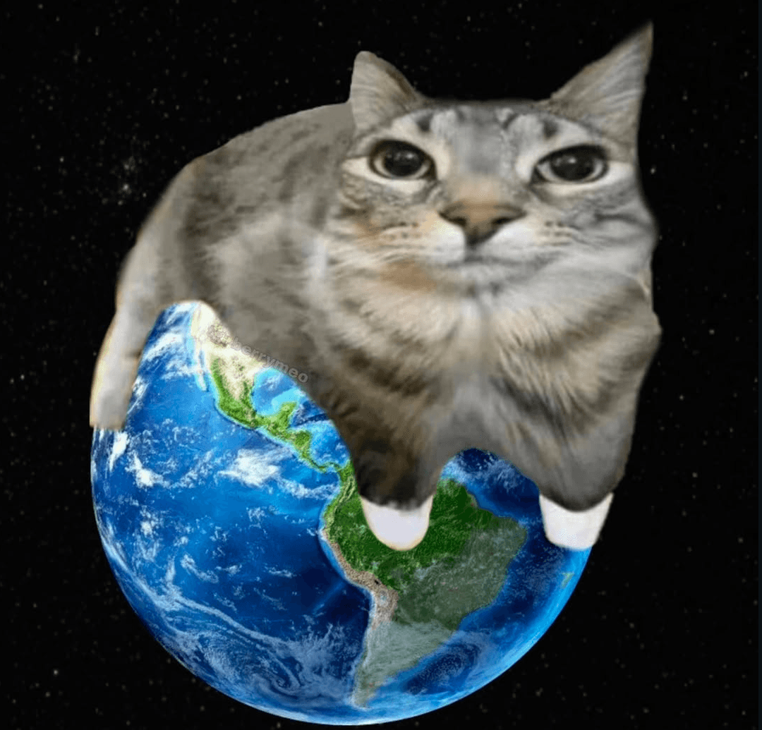 Sam33