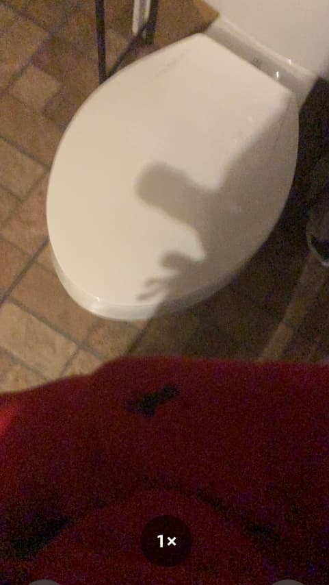 Bigdick
