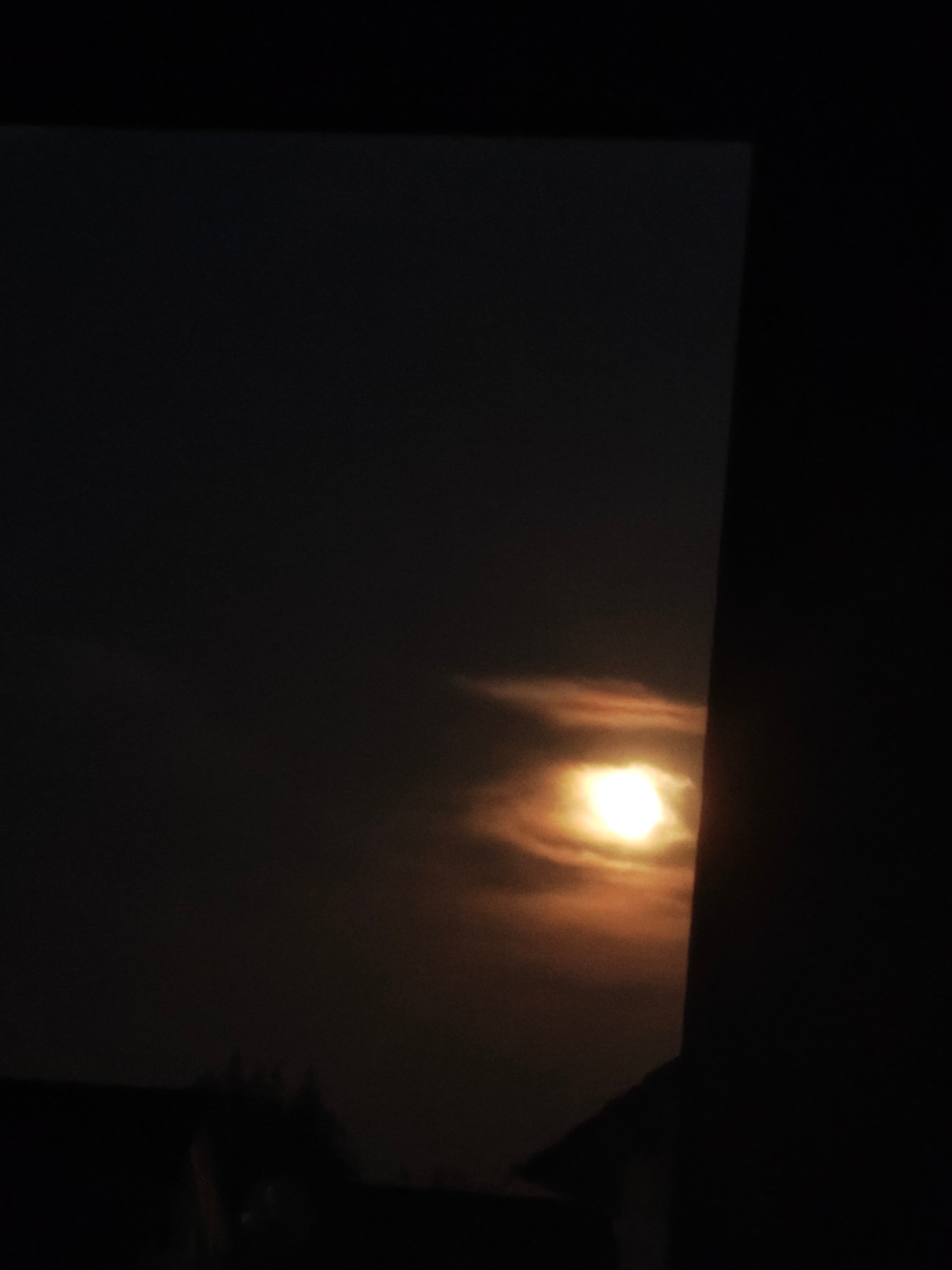 Anonymous_10