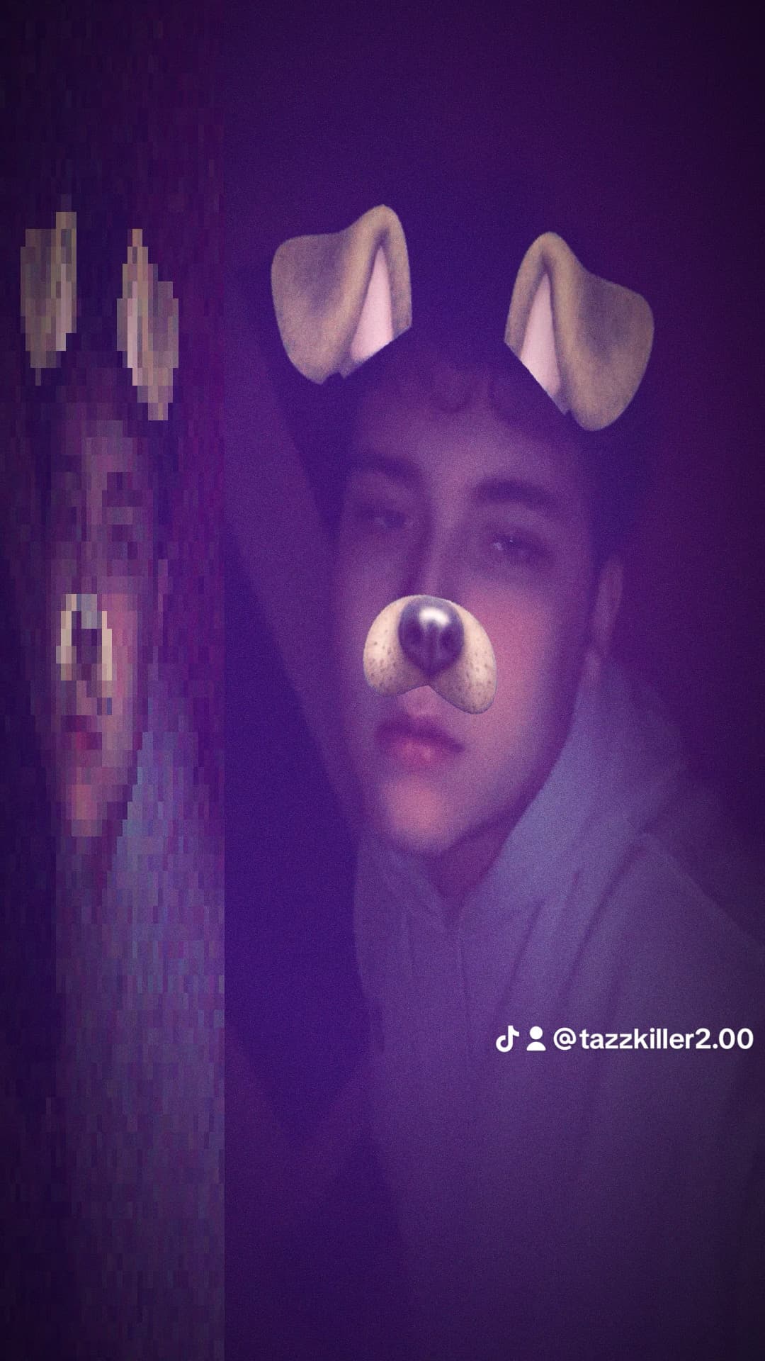 Tazz