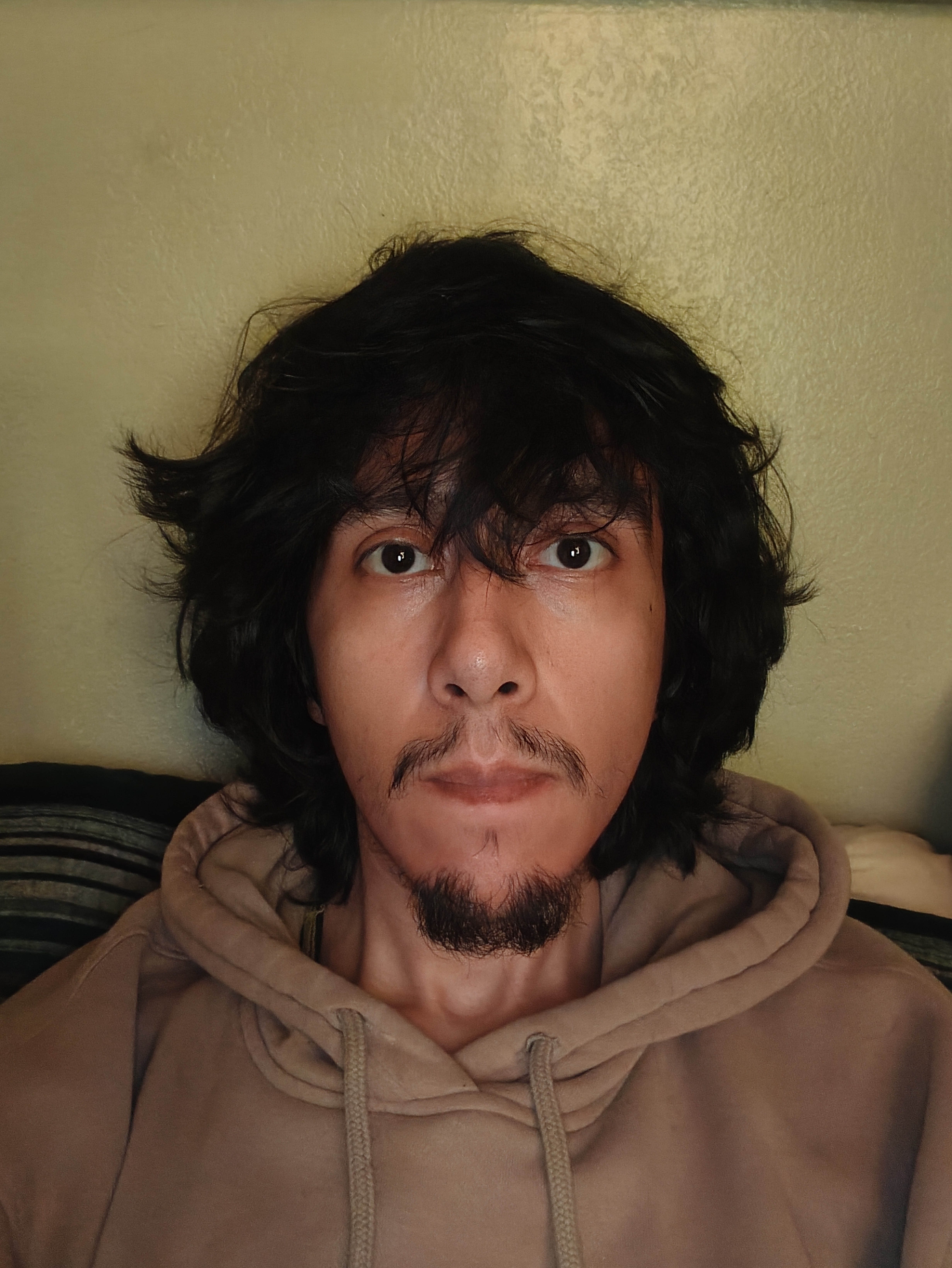 Elpaletero1